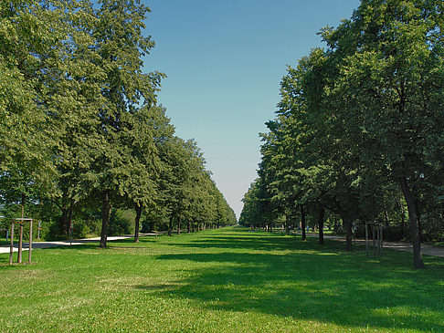 Fotos Wiese