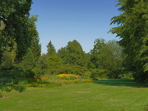 Fotos Wiese mit Bäumen | Dresden
