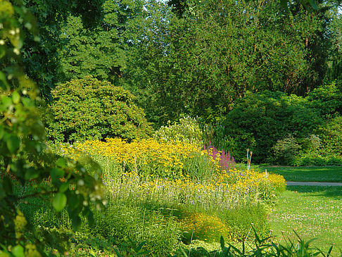 Wiese mit Bäumen