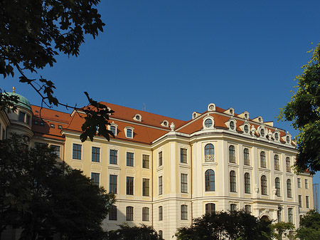 Blick durch Bäume Fotos