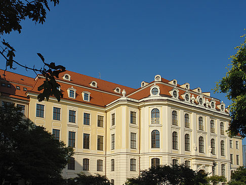 Fotos Blick durch Bäume