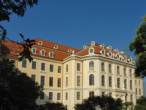 Fotos Blick durch Bäume | Dresden