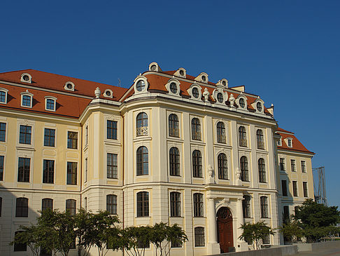 Fotos Stadtmuseum | Dresden