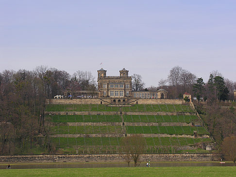 Villa Stockhausen Fotos
