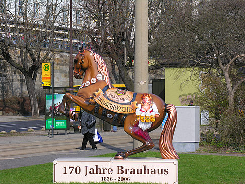 Societäts-Brauerei-Waldschlösschen Fotos
